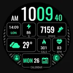 MDS441 Digital Watch Face