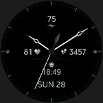 Elegant Analog Watch Face
