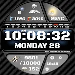 N-SPORT704 Weather Time Watch