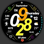 FSW270 Digital Watchface