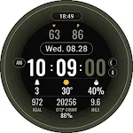 Digital Gyro110