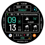 NW076: Digital watch face