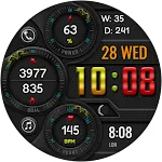 DIGI REPLANT WS29 Watch face