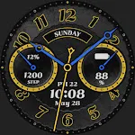 BOROI030 Watchface