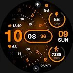 ML2U 215 Watch Face