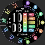 Half Screen Rainbow ZKin Watch