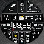 N-SPORT 745 Weather Forecast