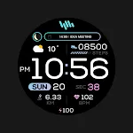 SamWatch PointColor 6 2024