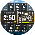 Full Weather Forecast NTV601