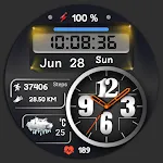 FSW316 Hybrid Watch Face