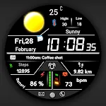 FSW283 Digital Watch face