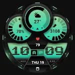 PRADO 84 Digital Watch Face