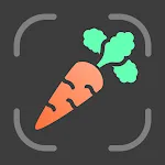 Nutrilio : Journal Alimentaire icon