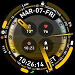 PLEX Watch Face