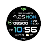 SamWatch PointColor 30 FIT R