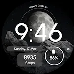 Digital - Moon Phases - ReS27