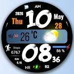 FSW315 Digital Watch Face