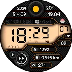 Digital Lork Watch Face