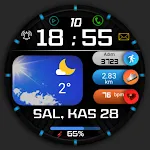 FSW248 digital Watchface