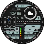 BFF11- Digital & Analog: Color