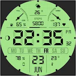 WFP 105 Retro watch face
