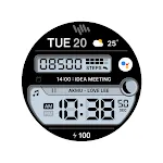 SamWatch Digital Amun 4