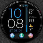 PW49 Quick App Digi Watch Face
