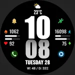 WFP 244 Sports watch face
