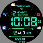 Chester Inform MOD LCD