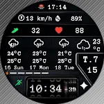 N-SPORT775 Auto 2Weather Watch