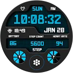 Digital Sport V12