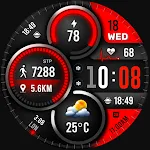 ML2U 271 Watch Face