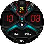 DIGI TRANSCON WS32 Watch face