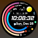 Digital FSW300 Watchface
