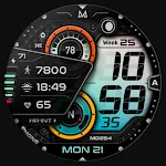 MD254 Digital watch face
