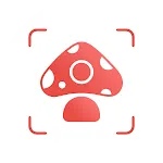 Picture Mushroom: Champiñón ID icon