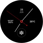 RHS 101 WR