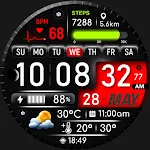 ML2U 272 Watch Face