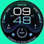 TKS 31 Vision Watch Face