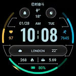Flat Simple ZKin Watch