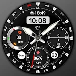 Hybrid FSW302 Watchface