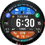 Digital Sport watchface NTV401