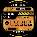OMG 430 - Digital Retro LCD