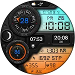 DIGI QUARTON WS22 Watch face
