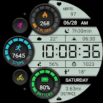 Retro Functional LCD ZKinWatch