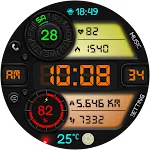 DIGI KORTLANS CTS81 Watch face