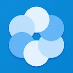 Bluecoins Finanças & Orçamento icon