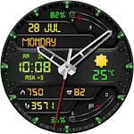 CARDILOT CTS41 Watch face