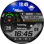 FSW223 Watchface