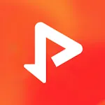 비디오 및 음악 다운로더 icon